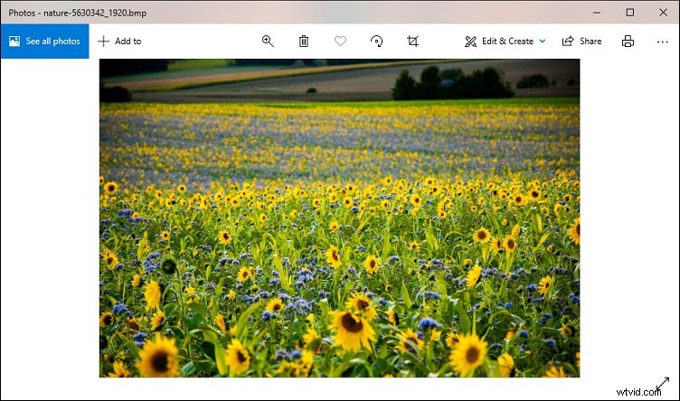 BMP File Guide: What Is It, How to Open, Convert & Use Bitmap Images