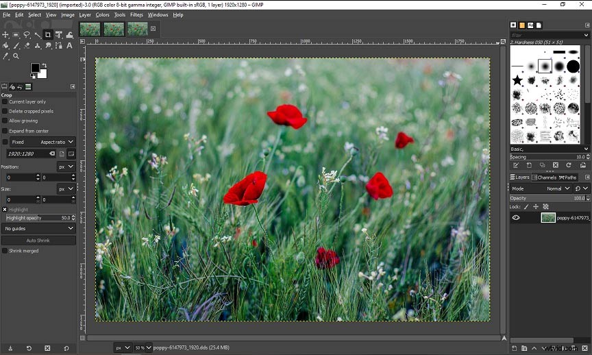 How to Open DDS Files on Windows: Top Viewers & Easy Solutions