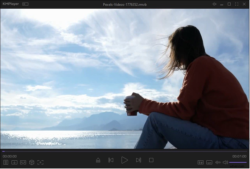 Top 10 RMVB Players for Windows, Mac, Android & iOS – Play & Convert Effortlessly