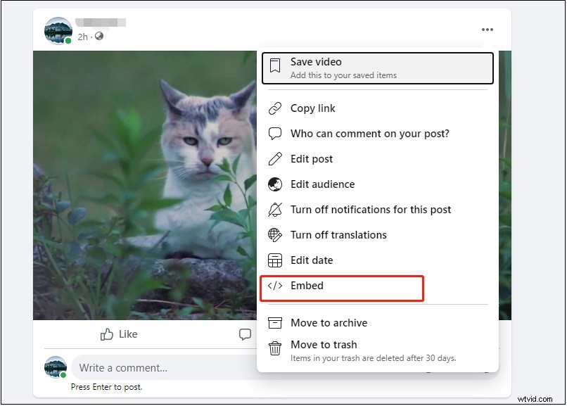 Step-by-Step Guide: Embed Facebook Videos on Websites, WordPress, Emails & Google Slides