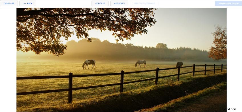 How to Add a Logo to Photos Online: Free Step-by-Step Guide