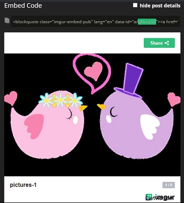 6 Best Imgur Album Downloaders: Download Albums Easily & Free