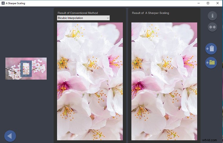 Top 5 Image Zooming Apps: Enlarge Pictures Easily on Desktop