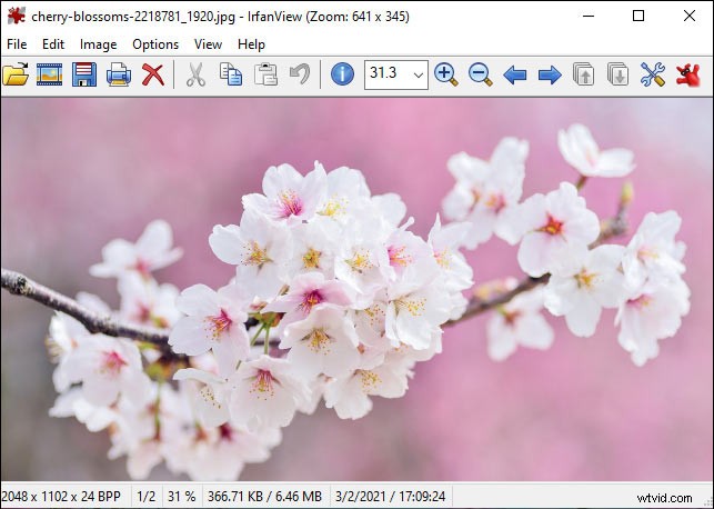 Top 5 Image Zooming Apps: Enlarge Pictures Easily on Desktop