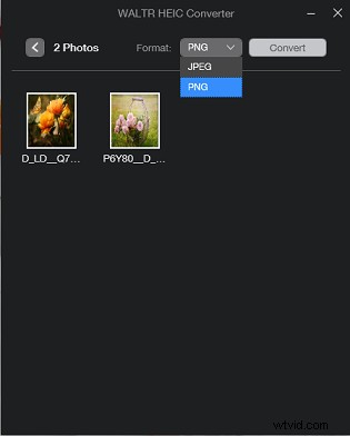How to Convert HEIC to PNG on Your Computer: 4 Best Free Tools