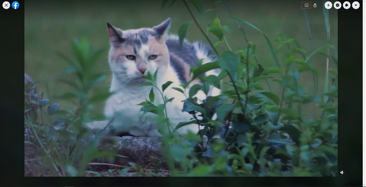 3 Easy Ways to Download Videos from Facebook Messenger on PC & Mobile