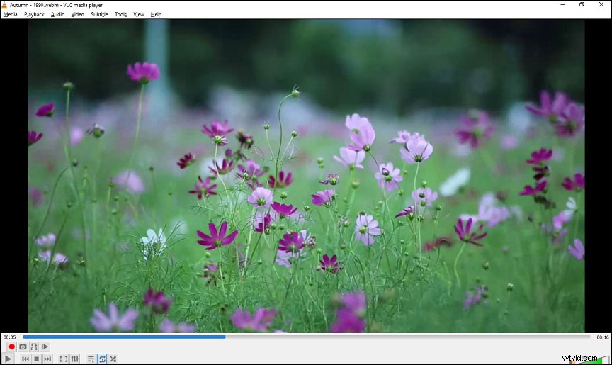 Top 10 QuickTime Alternatives for 2024: Best Media Players for Mac, PC & Mobile