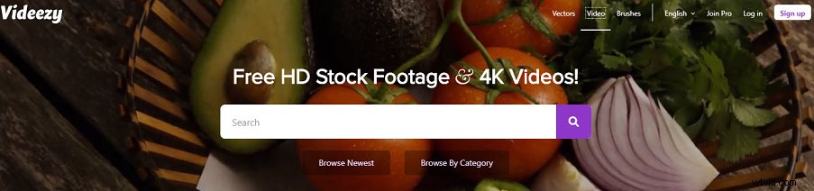 Top 6 Trusted Websites for Free Adobe After Effects Templates