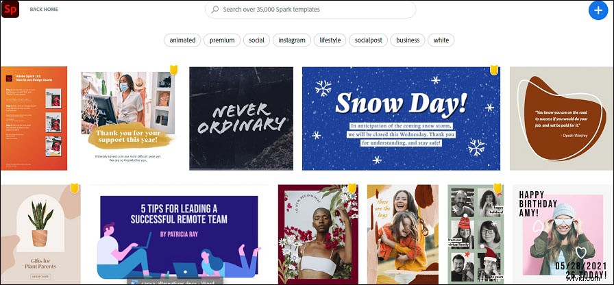 Top 5 Canva Alternatives: Best Tools for Professional Graphic Design