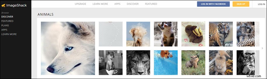 Top TinyPic Alternatives: Best Free Sites to Upload & Share Images and Videos