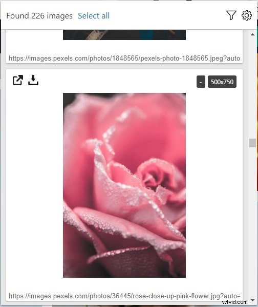 Top 5 Free Chrome Image Downloader Extensions for Bulk Downloads