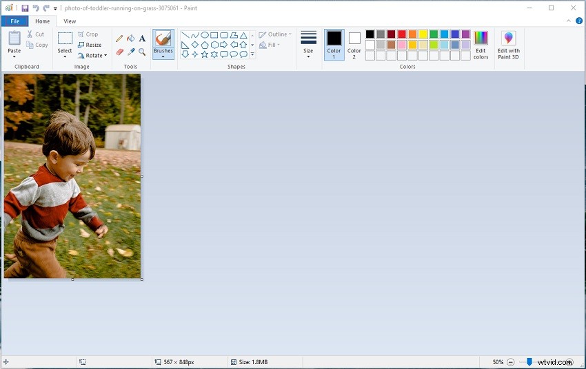 How to Convert BMP to JPG: Top 4 Proven Methods