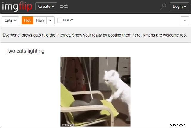 Top Websites for Adorable Animal GIFs & Videos – Guaranteed Smiles