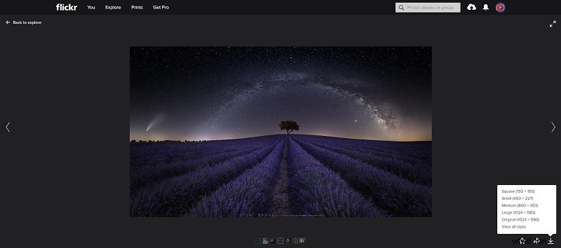 Ultimate Step-by-Step Guide: How to Download Flickr Photos (Even Protected Ones)