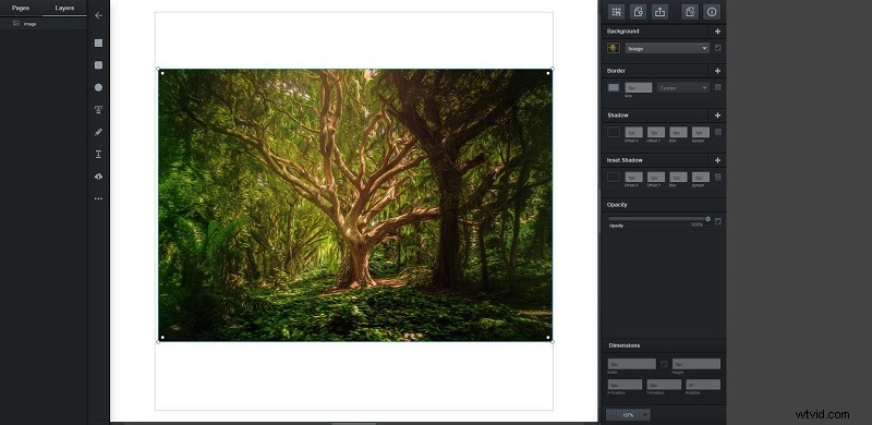 6 Best Adobe Illustrator Alternatives: Top Free & Paid Vector Tools