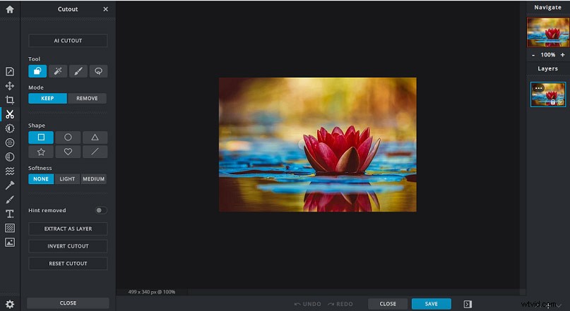 Top 6 Best Free Image Rotators for Effortless Photo Correction