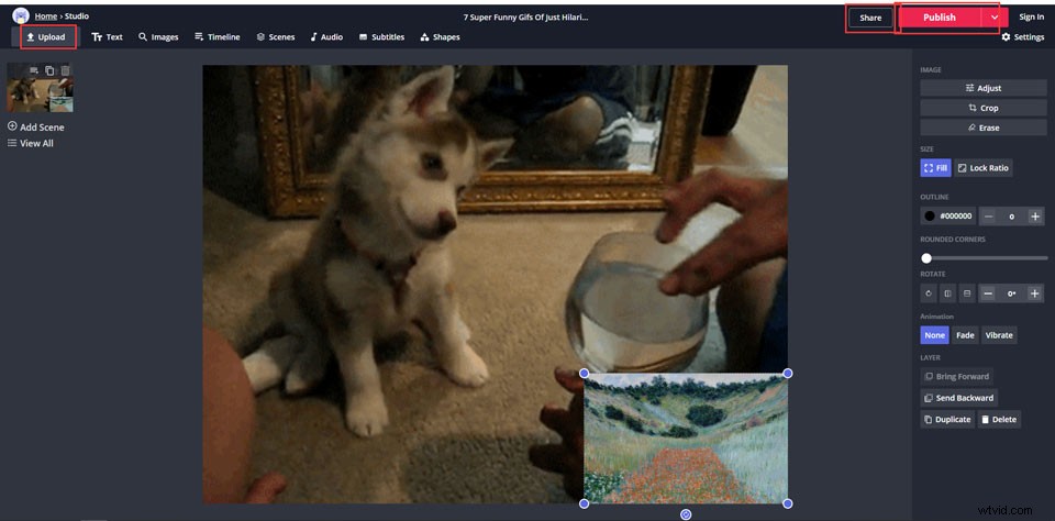 How to Add an Image to a GIF: 2 Easy Solutions (Online & Desktop)