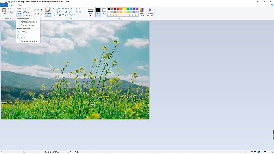 Top 3 Best Color Inverters: Effortlessly Invert Image Colors