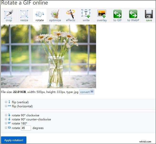 How to Rotate Animated GIFs Easily: Free Tools and Websites