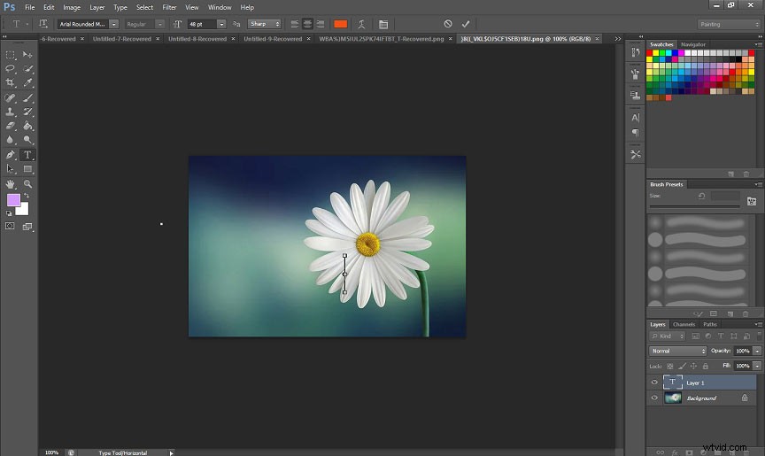Top 10 Best Photo Editors to Transform Your Images into Stunning Masterpieces