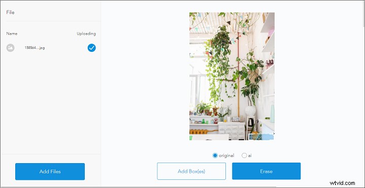 Top 5 Best Online Watermark Removers: Erase Watermarks from Images, Videos & PDFs Effortlessly
