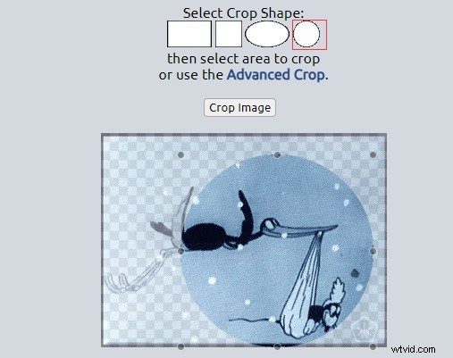 4 Proven Ways to Crop GIFs Without Losing Quality