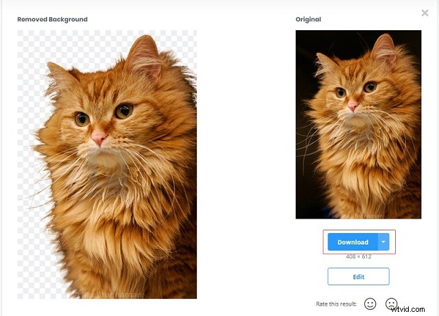 4 Expert Tips to Easily Make Images Transparent in Photoshop, GIMP, PowerPoint & Online