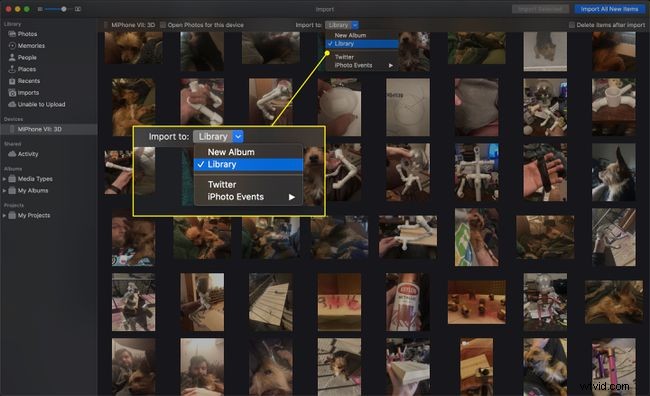 Easy Step-by-Step Guide: Transfer Photos from Any Phone to PC or Mac