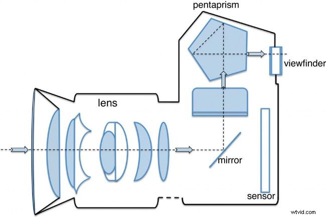 What is a DSLR Camera? Essential Guide for Beginners