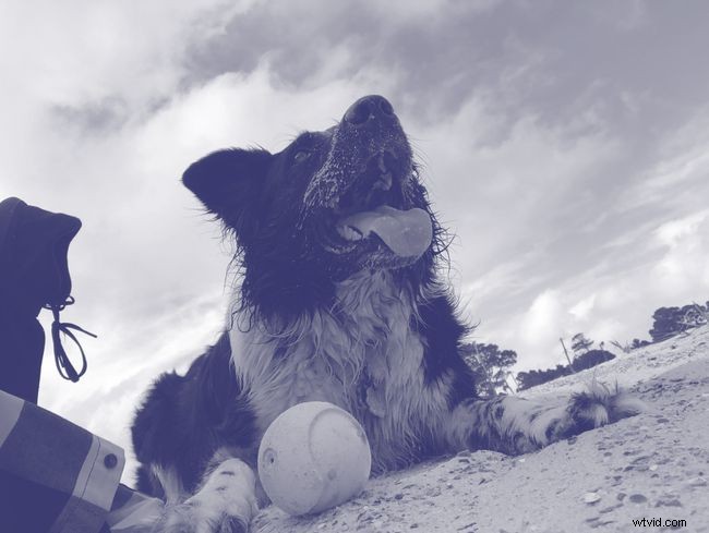 Monochrome Photography Explained: Key Differences from Black & White