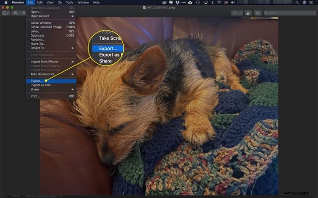 How to Easily Convert HEIC to JPG on Mac: Preview & Online Tools