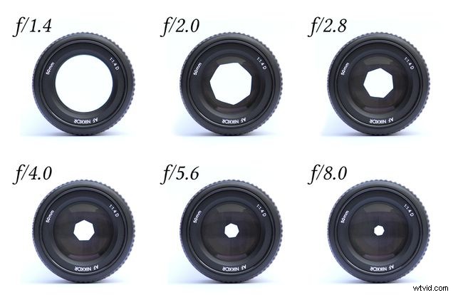 What Is a Prime Lens? Definition, Advantages & Comparison to Zoom Lenses