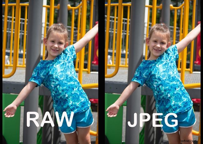 What is RAW Photography? Benefits and Essentials for Every Photographer
