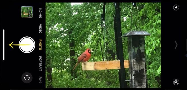 Master Burst Mode: Capture Razor-Sharp Action Shots on Your Smartphone