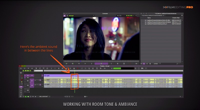 Master Smoother Dialogue Edits: Harness Room Tone & Ambience for Pro Audio