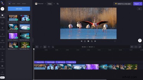 Clipchamp s New Full-Screen Video Preview: Edit Faster with Bigger Views