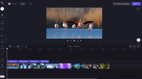 Clipchamp s New Full-Screen Video Preview: Edit Faster with Bigger Views