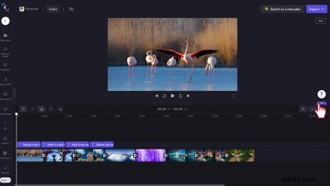 Clipchamp s New Full-Screen Video Preview: Edit Faster with Bigger Views