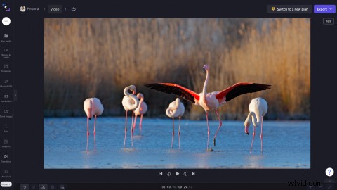 Clipchamp s New Full-Screen Video Preview: Edit Faster with Bigger Views