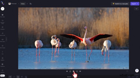 Clipchamp s New Full-Screen Video Preview: Edit Faster with Bigger Views