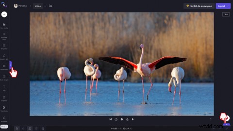 Clipchamp s New Full-Screen Video Preview: Edit Faster with Bigger Views
