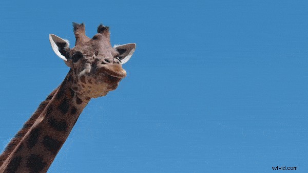 Step-by-Step Guide: How to Seamlessly Add Royalty-Free Stock Videos to Your Editing Project