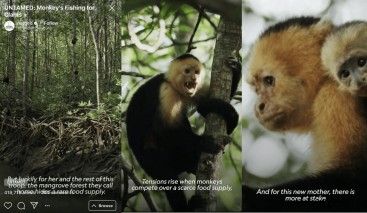 Ultimate Guide: How to Create Engaging IGTV Videos for Your Brand