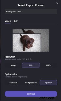 Introducing 2:3 Vertical Aspect Ratio: Perfect for Pinterest Videos