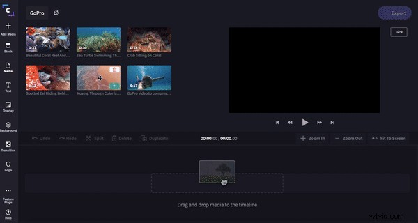 Edit GoPro Videos Easily: Online Editor Guide for Mac & PC