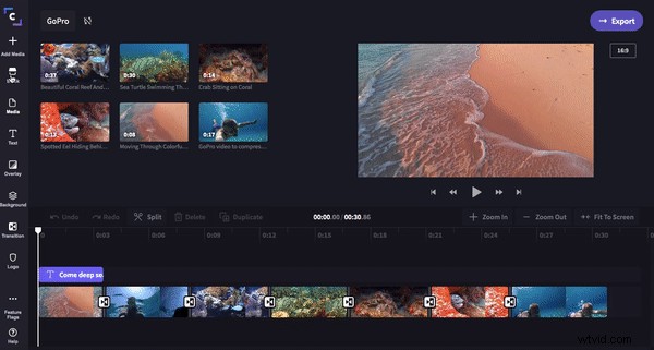 Edit GoPro Videos Easily: Online Editor Guide for Mac & PC