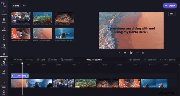 Edit GoPro Videos Easily: Online Editor Guide for Mac & PC