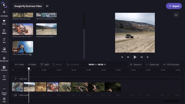 Ultimate Guide: How to Create a Promo Video for Google My Business Listings