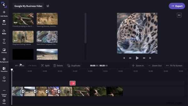 Ultimate Guide: How to Create a Promo Video for Google My Business Listings