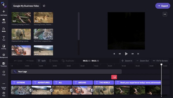 Ultimate Guide: How to Create a Promo Video for Google My Business Listings